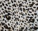 Watercolour Leopard Velour