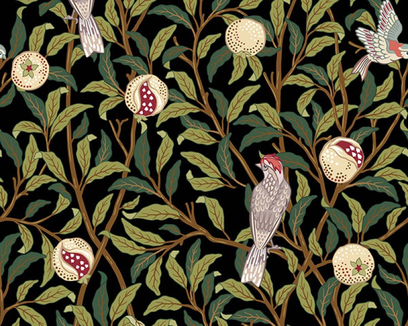 Panama Digital Canvas Birds