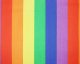 Sally Rainbow Large Stripe Polycotton