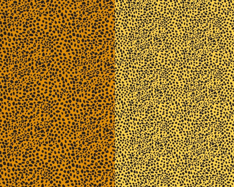 Cheetah Printed Jersey