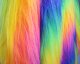 Rainbow Long Hair Fur