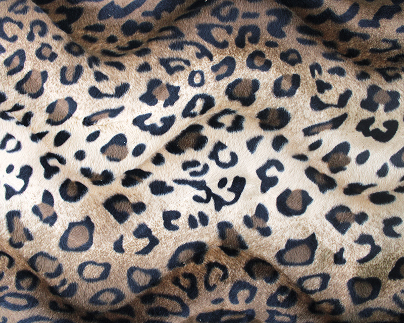 Wild Leopard Print Velboa