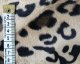 Wild Leopard Print Velboa