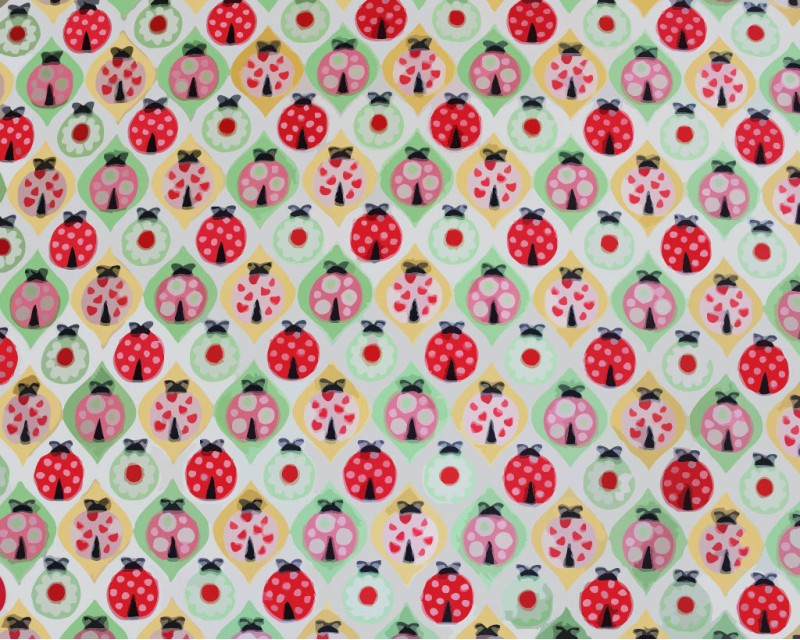 Groovy Ladybird Cuddle Fleece