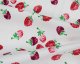 Painted Raspberry Cotton Poplin