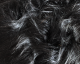 Long Hair Fur