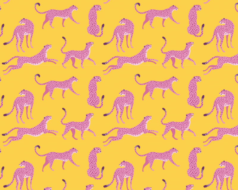 Little Johnny Cotton Cheeky Cheetahs Little Johnny Cotton Cheeky Cheetahs