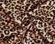 Leopard Print Ponteroma