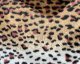 Leopard Print Velboa