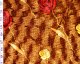 Rose Leaves Printed Velour