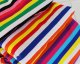 Rainbow Stripe Jersey