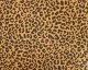 Animal Print Brushed French Terry