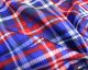 Union Jack Tartan Polyester