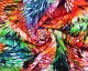 Rainbow Feathers Viscose Ponteroma