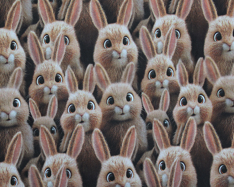 Little Johnny Digital Cotton Bunnies