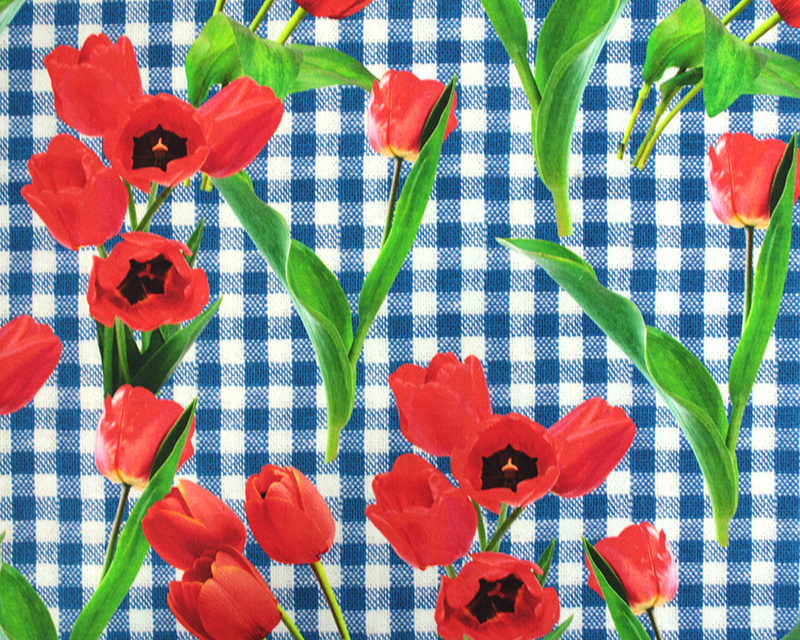 Cotton Jersey Gingham Flowers