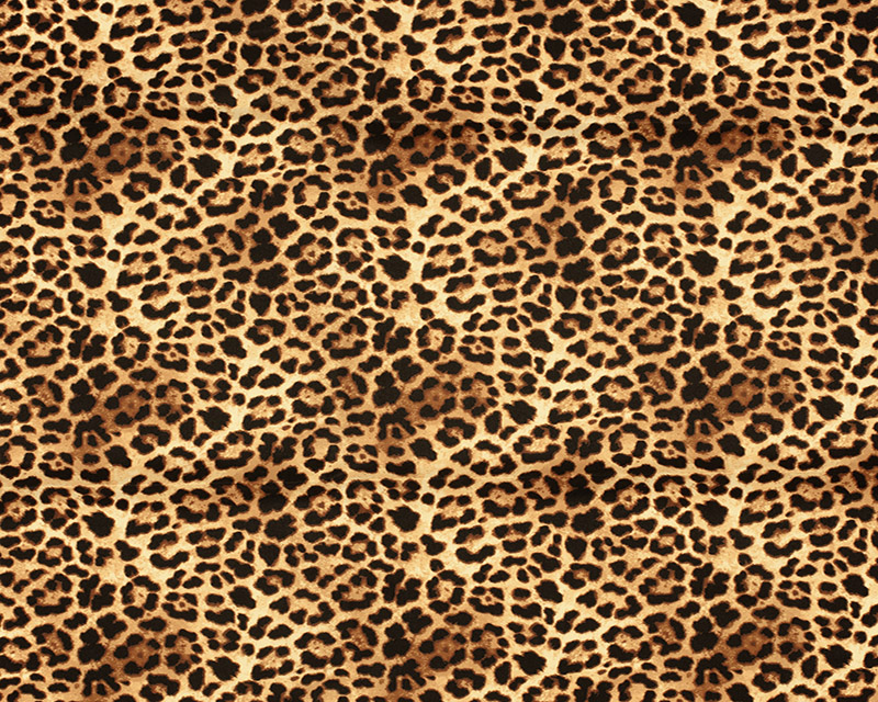 Swim shorts water repellent recycled Animal Print