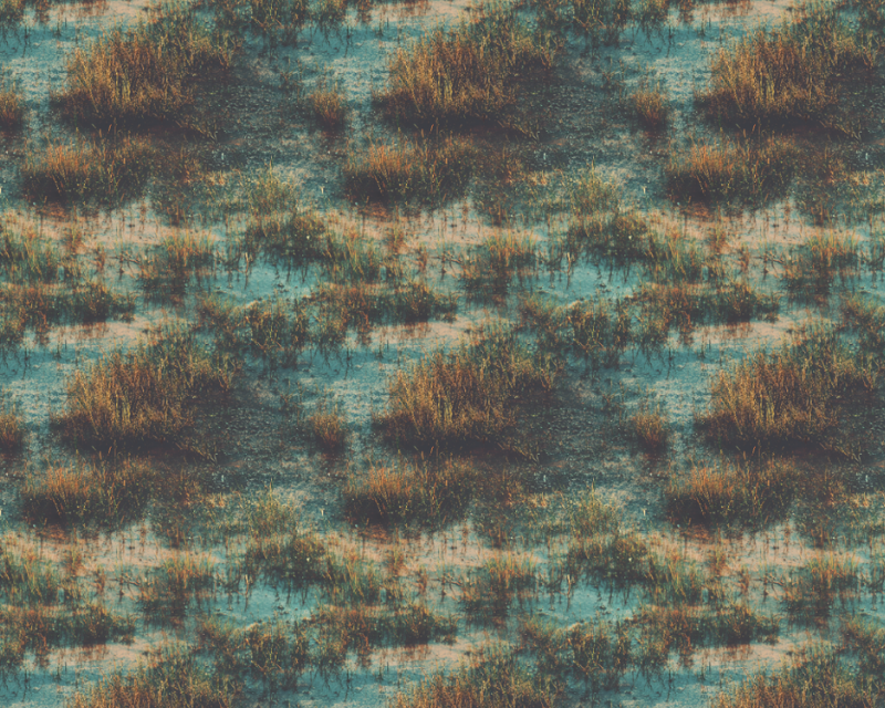 Empee Studio Cotton Photorealism Marsh