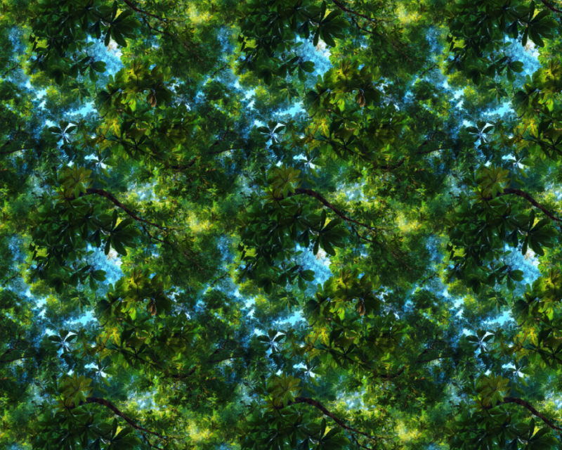 Empee Studio Cotton Photorealism Tree Sky