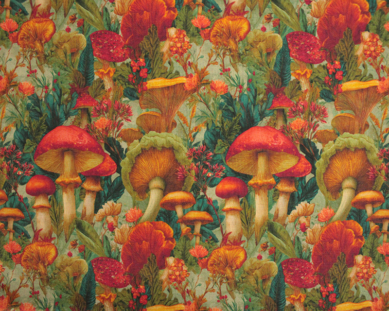 Empee Studio Cotton Mushrooms