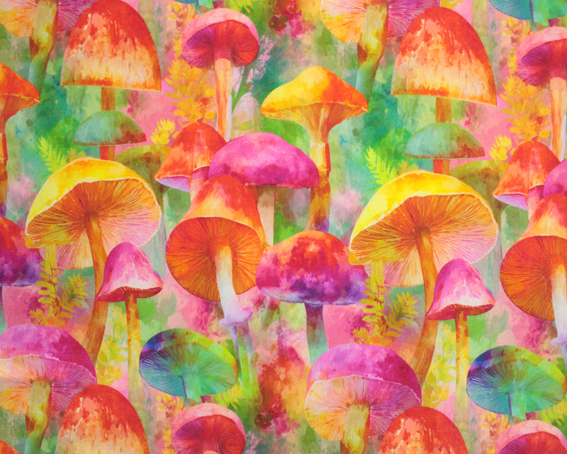 Empee Studio Cotton Mushrooms