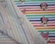 Little Johnny -  Disney Rainbow Stripe Minnie
