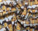 Little Johnny Digital Cotton 3D Stained Glass Homes
