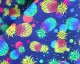 Little Johnny Digital Cotton Pineapples