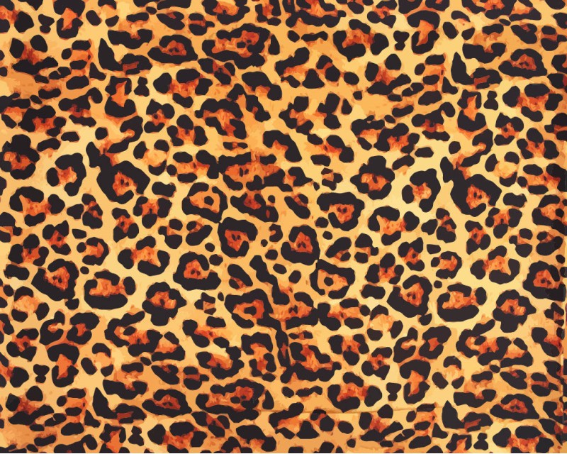 Little Johnny Viscose Leopard