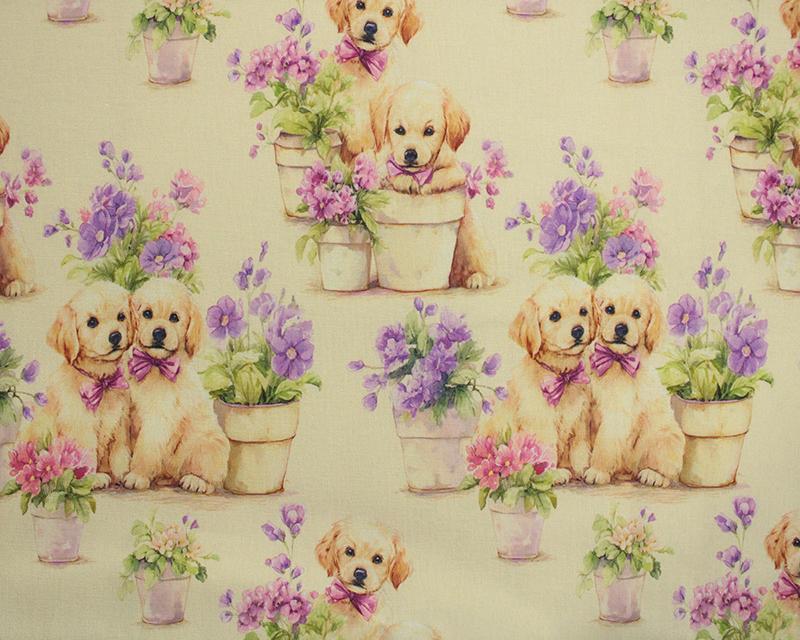 Mindy Cotton Golden Puppies